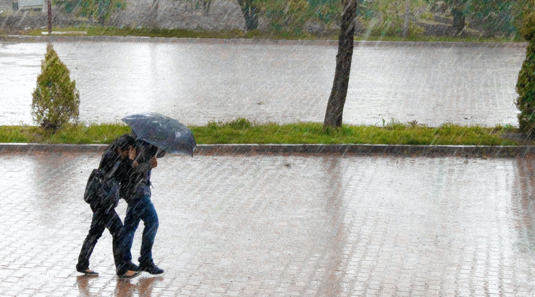 Is jouw tuin klaar voor een storm?