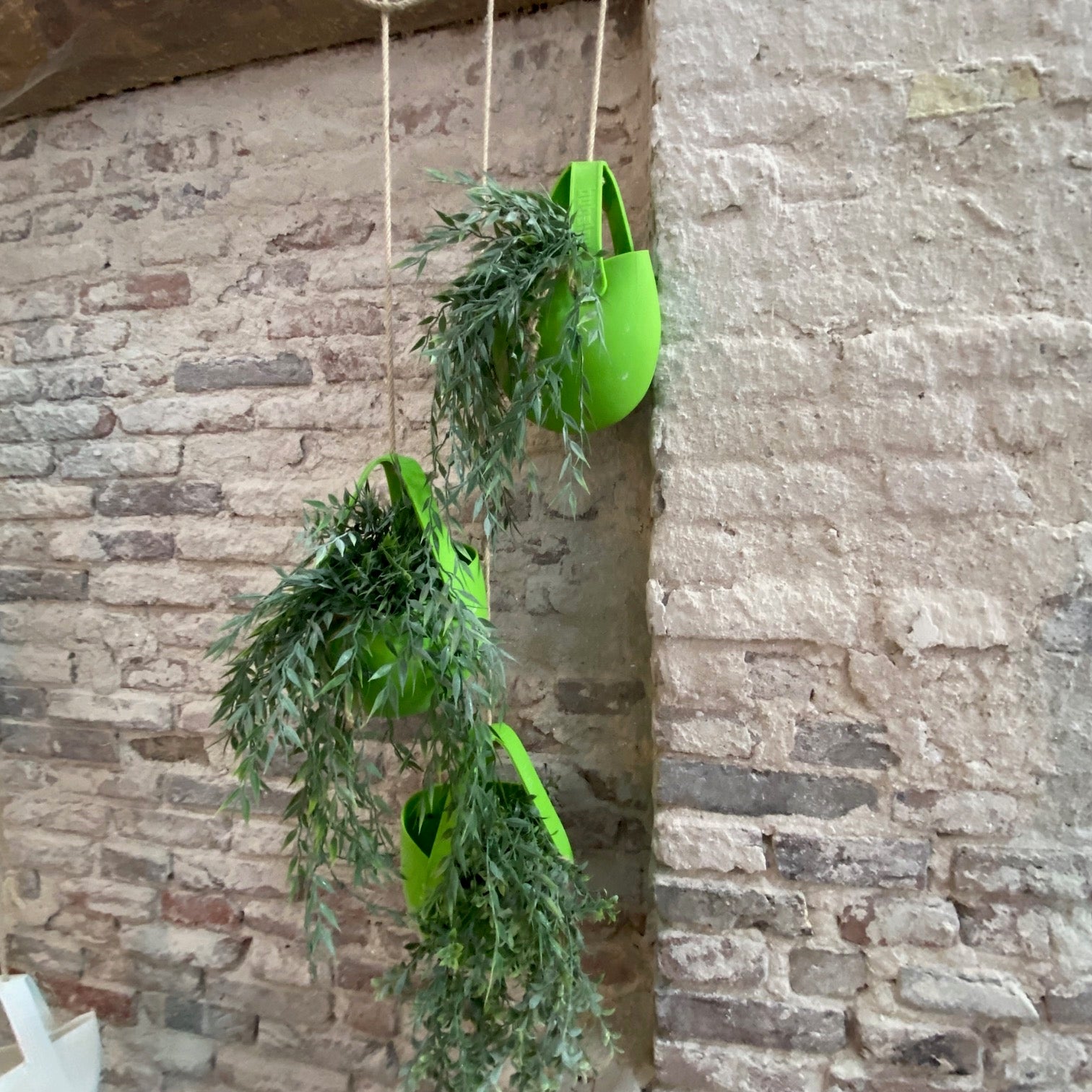 Sling hangende plantenbakken Grass (3 stuks)