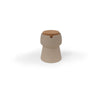 Product previous image button