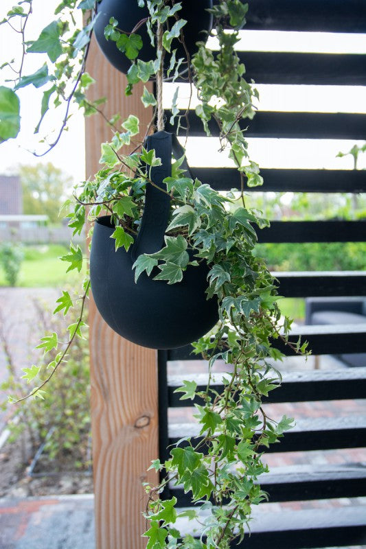 Sling hangplantenbak Wicked Black (3 stuks)